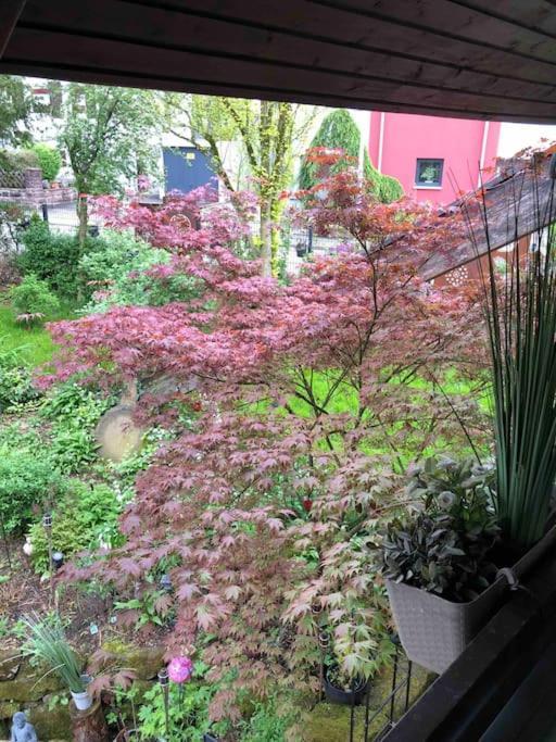 Willkommen Im Casa Felice, Der Wohlfuehl Oase Mit Balkon, 4 Betten Und Homeoffice Platz Aidlingen Zewnętrze zdjęcie